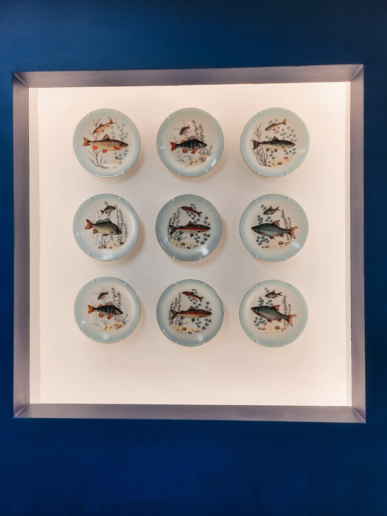 ryńskie zbiory muzealne